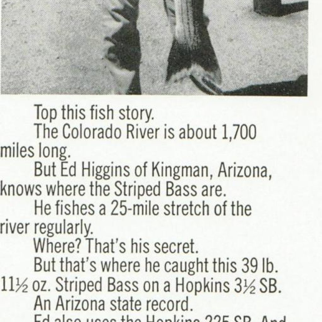 1971 Arizona State Record